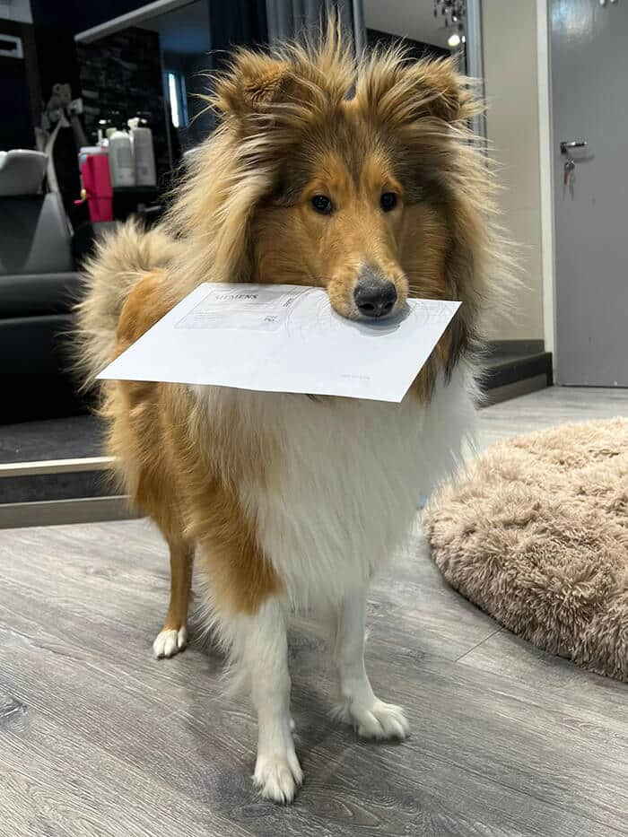 Karisma henkilökunta Johanna